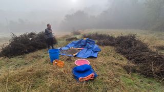 전환엽님의 들깨 · 영농일지 작성글 사진