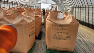 심지님의 벼 · 영농일지 작성글 사진