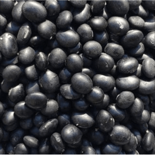 인생은 소풍처럼님의 콩 · 영농일지 작성글 사진