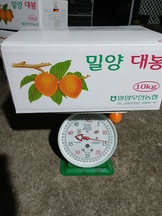 최영묵님의 감 · 영농일지 작성글 사진