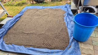 전환엽님의 들깨 · 영농일지 작성글 사진