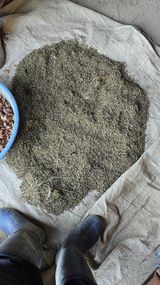 김영한님의 작성글 사진