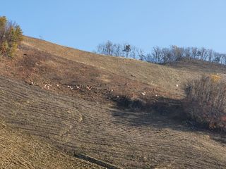 이름유순옥님의 기타작물 · 영농일지 작성글 사진