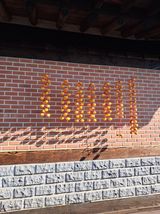 팜모닝 기타작물·영농일지 게시글 이미지