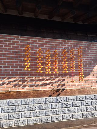 구강회님의 기타작물 · 영농일지 작성글 사진