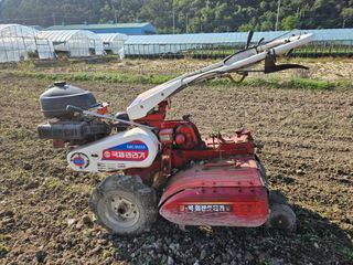 부추사랑님의 기타작물 · 영농일지 작성글 사진