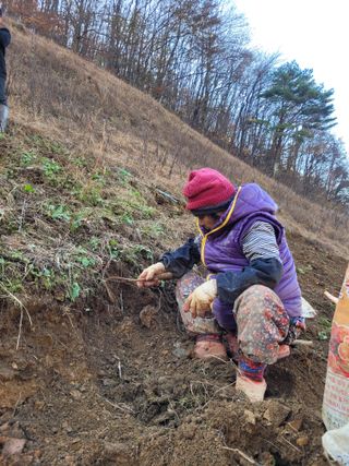 이름유순옥님의 기타작물 · 영농일지 작성글 사진