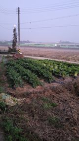 팜모닝 기타작물·영농일지 게시글 이미지