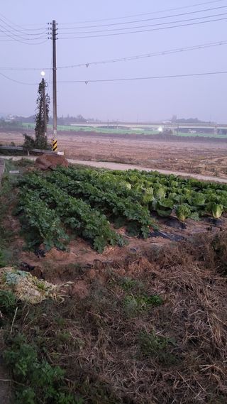 명장박세태님의 기타작물 · 영농일지 작성글 사진