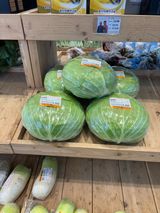 팜모닝 양배추·영농일지 게시글 이미지