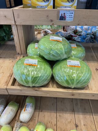 김영완님의 양배추 · 영농일지 작성글 사진