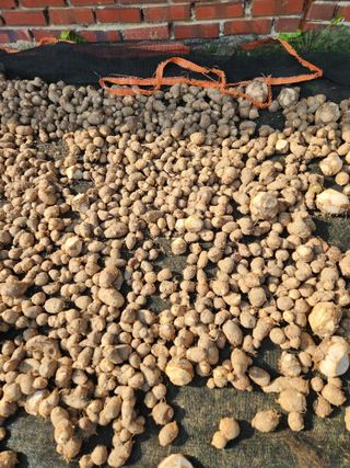 부여최대감님의 기타작물 · 영농일지 작성글 사진