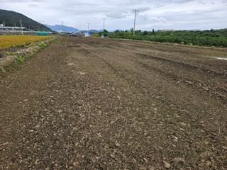 부추사랑님의 기타작물 · 영농일지 작성글 사진