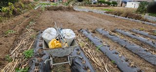 귀농인님의 들깨 · 영농일지 작성글 사진