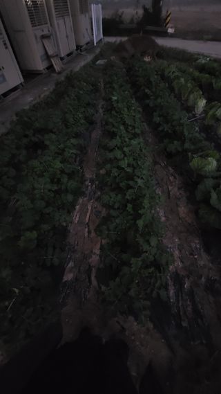 명장박세태님의 기타작물 · 영농일지 작성글 사진