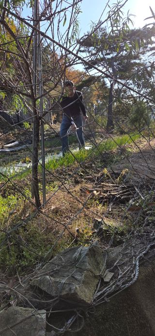 행운아님의 파 · 영농일지 작성글 사진