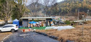 정연섭님의 기타작물 · 영농일지 작성글 사진