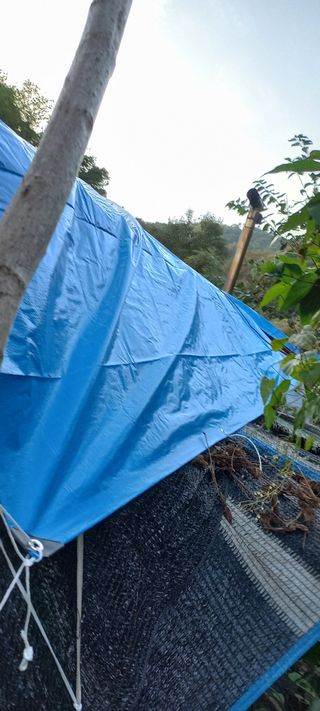 정석채님의 기타작물 · 영농일지 작성글 사진