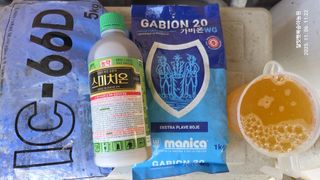 달맛햇복숭아농원님의 복숭아 · 영농일지 작성글 사진