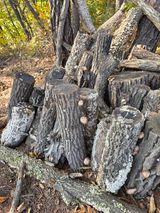 행운아님의 작성글 사진