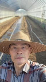 팜모닝 기타작물·영농일지 게시글 이미지