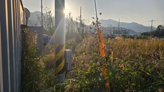 장정규님의 복숭아 · 영농일지 작성글 사진