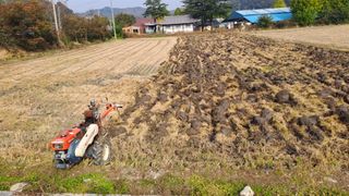 월굴리이승재님의 벼 · 영농일지 작성글 사진