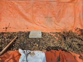 경달현님의 콩 · 영농일지 작성글 사진