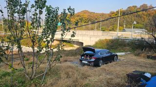 장정규님의 복숭아 · 영농일지 작성글 사진