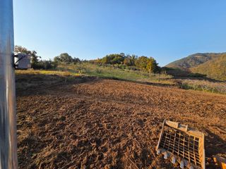 김정훈님의 복숭아 · 영농일지 작성글 사진