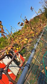 주윤발이님의 작성글 사진