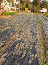 박용열조물주님 님의 작성글 사진