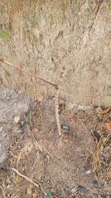 권혁렬님의 작성글 사진