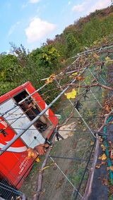 주윤발이님의 작성글 사진