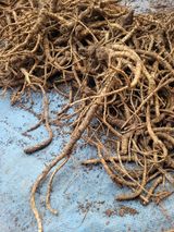 팜모닝 기타작물·영농일지 게시글 이미지