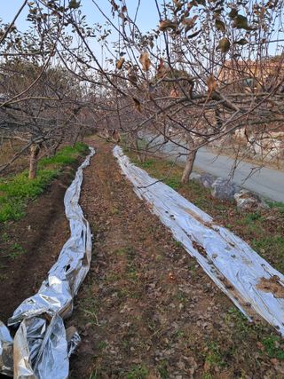 구강회님의 기타작물 · 영농일지 작성글 사진