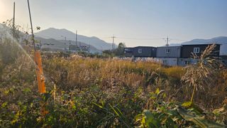 장정규님의 복숭아 · 영농일지 작성글 사진