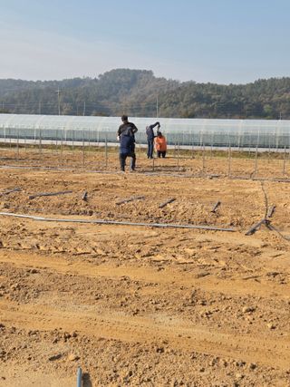 홍성규 님의 기타작물 · 영농일지 작성글 사진