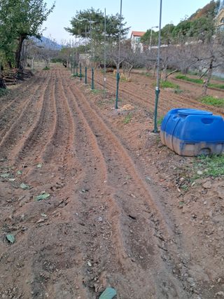 구강회님의 기타작물 · 영농일지 작성글 사진