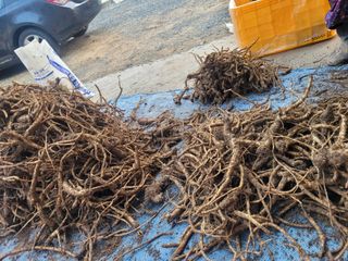 이름유순옥님의 기타작물 · 영농일지 작성글 사진