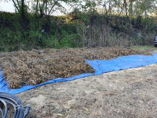 솔청님의 콩 · 영농일지 작성글 사진