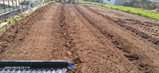 샤인머스켓님의 기타작물 · 영농일지 작성글 사진