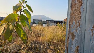 장정규님의 복숭아 · 영농일지 작성글 사진