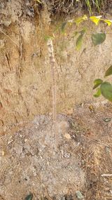 권혁렬님의 작성글 사진