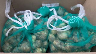 한내님의 배추 · 영농일지 작성글 사진