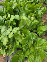 조희빈님의 작성글 사진