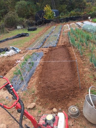 김윤오님의 기타작물 · 영농일지 작성글 사진