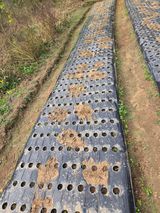 조희빈님의 작성글 사진