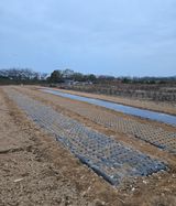 팜모닝 기타작물·영농일지 게시글 이미지