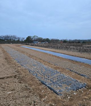 최종태님의 기타작물 · 영농일지 작성글 사진